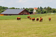 Bauernhof