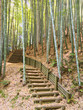 竹林の山道