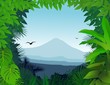 tropical forest background tropical forest background