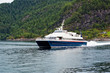 Cruise ship sailing along the river