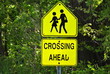School Crossing Sign School Crossing Sign
