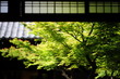 temple-127