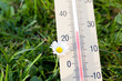 Wettervorhersage