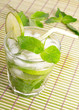 Mojito cocktail