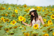Happy girl between sunflower Happy girl between sunflower