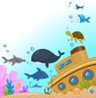 Underwater Animals