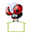 coccinella con casa