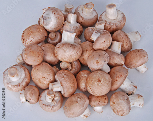 Photo: braune Champignons braune Champignons