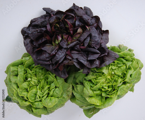 Photo: Salatköpfe Salatköpfe