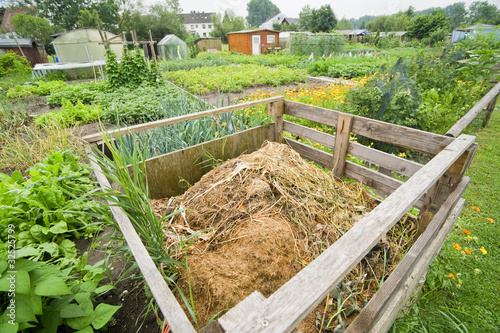 Foto: Compost bin in a vegetable garden Compost bin in a vegetable garden