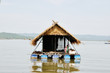 Floating resort