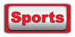 SPORTS ICON
