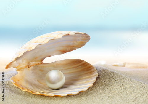 Photo: Shell with a pearl Shell with a pearl