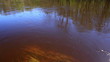 River reflection