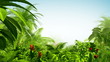 Growing tropical forest Growing tropical forest