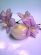 Cream jar with orchid branch