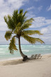 Photo: Tropical Paradise at caribbean Tropical Paradise at caribbean