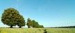 plateau briard