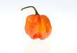 Chili