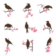 Set from birds sitting on a tree branch