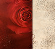 Red rose ornamental card