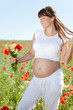Freude im Feld Frau sucht Blumenstrauss