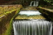 River  in a forest