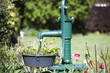 alte Gartenpumpe