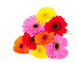 a bouquet mixed colorful gerbera flowers isolated over white a bouquet mixed colorful gerbera flowers isolated over white