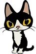 Clichan cat