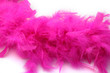 plumes