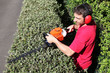 jardinier, pépiniériste, paysagiste taille une haie vive jardinier, pépiniériste, paysagiste taille une haie vive