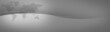 Header - Banner