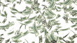One hundred dollar bills falling. With Alpha Matte. Loop