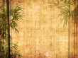 Silhouette of branches of a bamboo on paper background .
