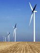 Foto: energie energie
