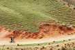 Mountain biker on rural road