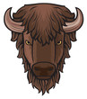 Buffalo head