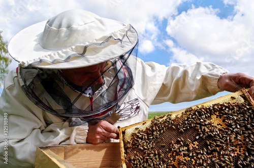 Photo: Working apiarist. Working apiarist.