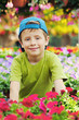 gardener