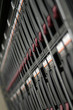 Hard drives in a row in a datacenter Hard drives in a row in a datacenter