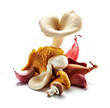 Foto: mushrooms mushrooms