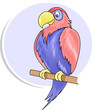 Big parrot