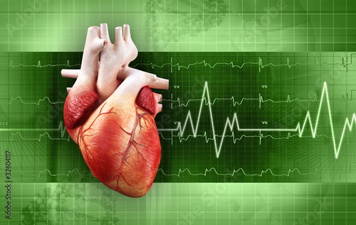 Foto: heartbeat heartbeat