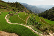 Hiking through rice terraces