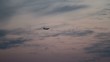 Flugzeug am Abendhimmel