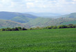 Meadow and Hills