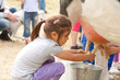Milking cow 4