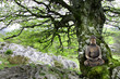 Bouddha et Meditation