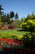 Flower Garden
